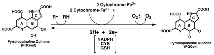 包含圖片、插圖等的外部文件。
對象名稱為 biomolecules-11-01441-g001.jpg