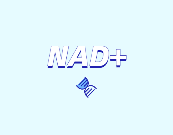 NAD與NMN的全新概念？