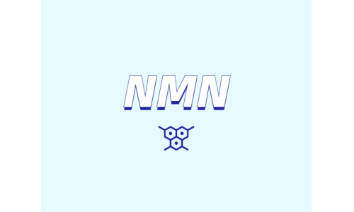 nmn代表什么？