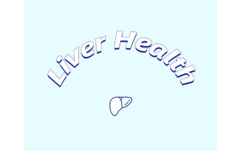 哪些原料可助力肝臟健康？