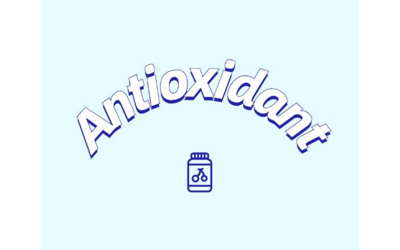 抗氧化劑與功能性食品如何守護健康？