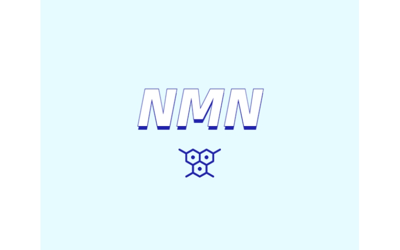 NMN對(duì)人體有什么潛在效果？